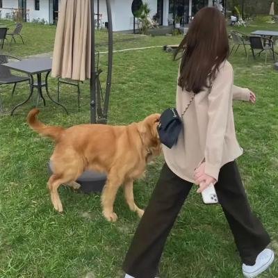 简单小生活
